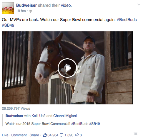 budweiser super bowl lost dog facebook ads