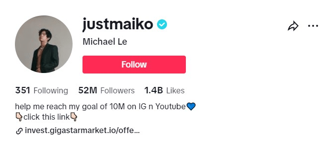 image for famous tiktokers influence marketing 15