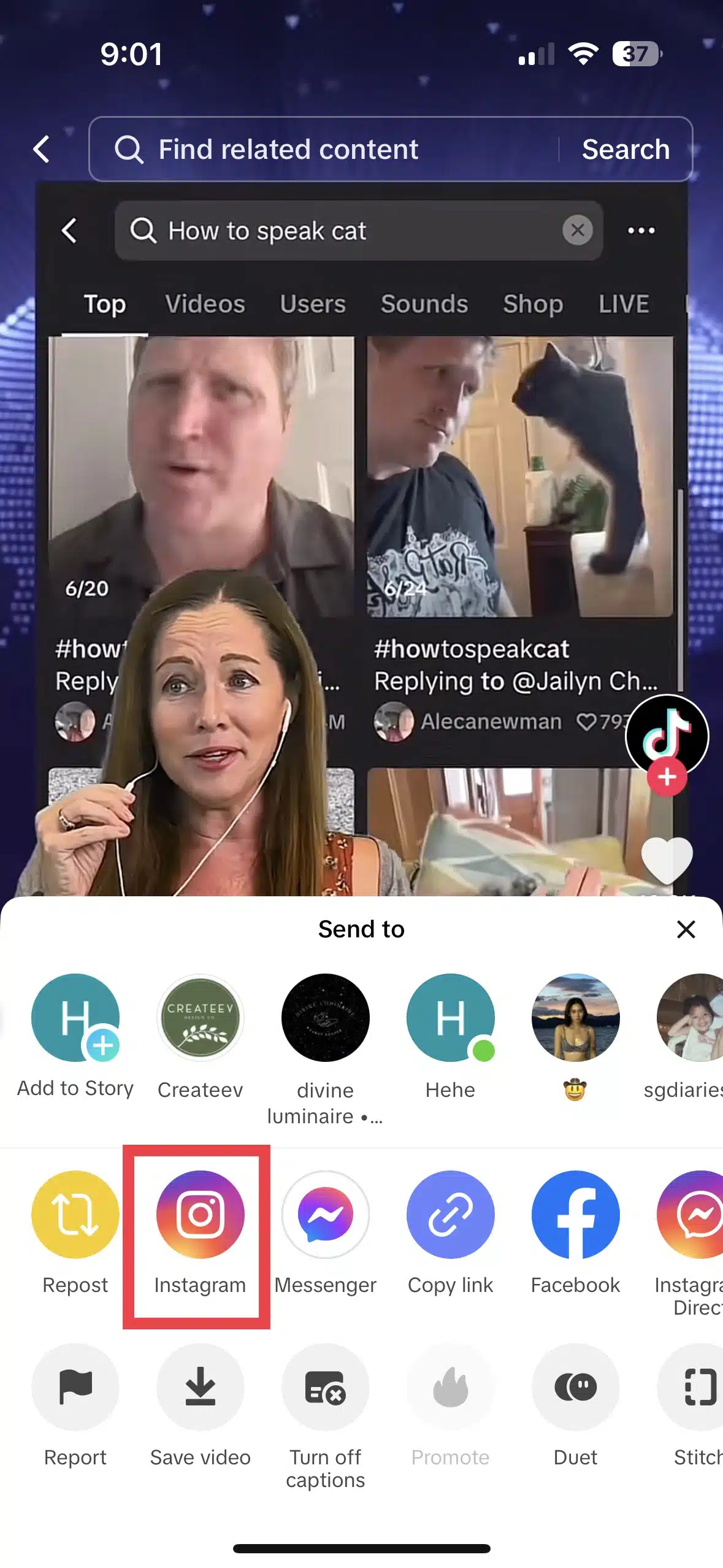 How to Share TikTok on Instagram A StepbyStep Guide