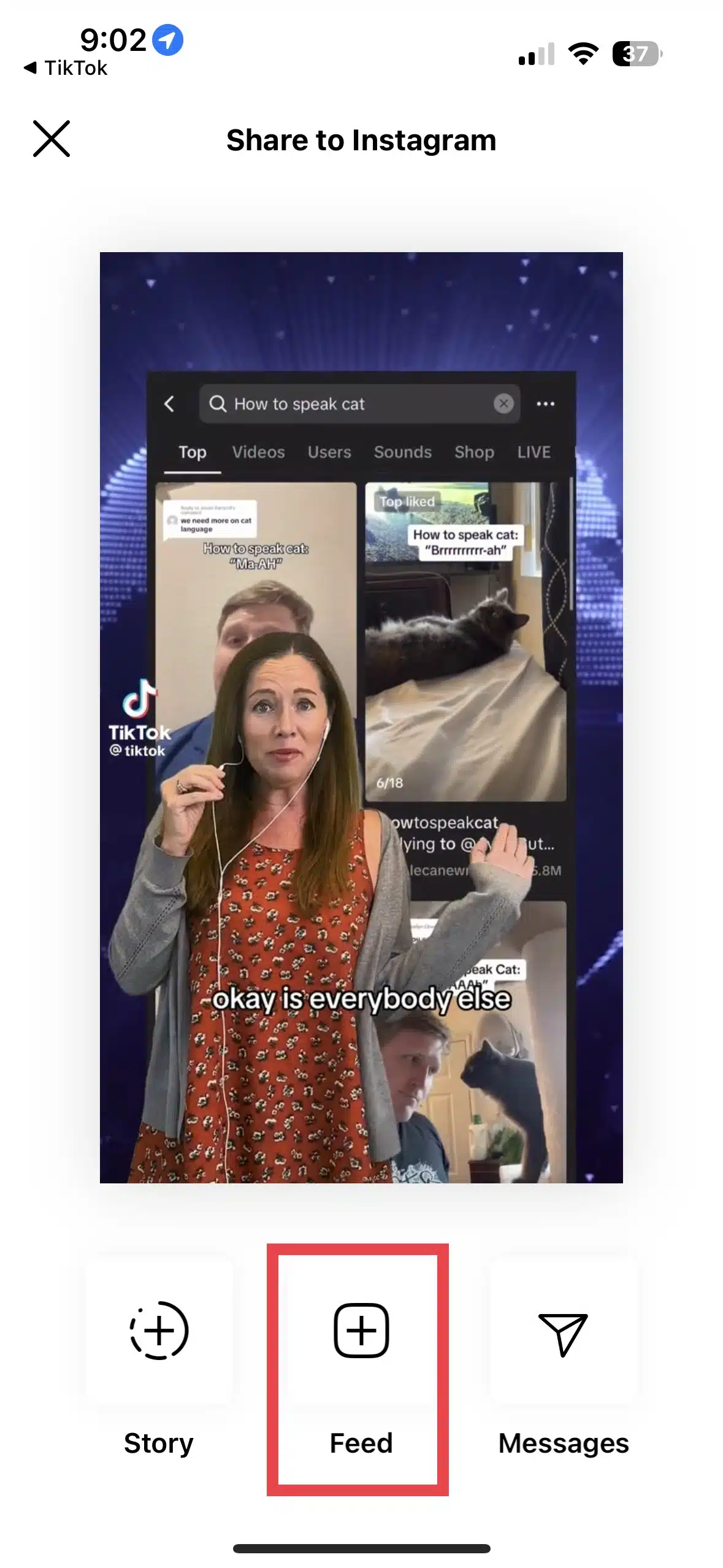 How to Share TikTok on Instagram A StepbyStep Guide