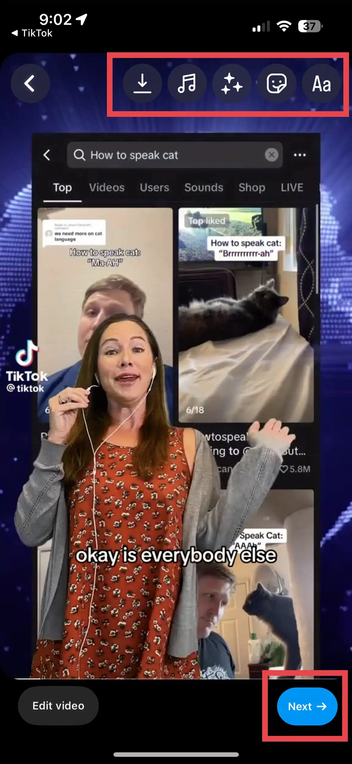 How to Share TikTok on Instagram A StepbyStep Guide