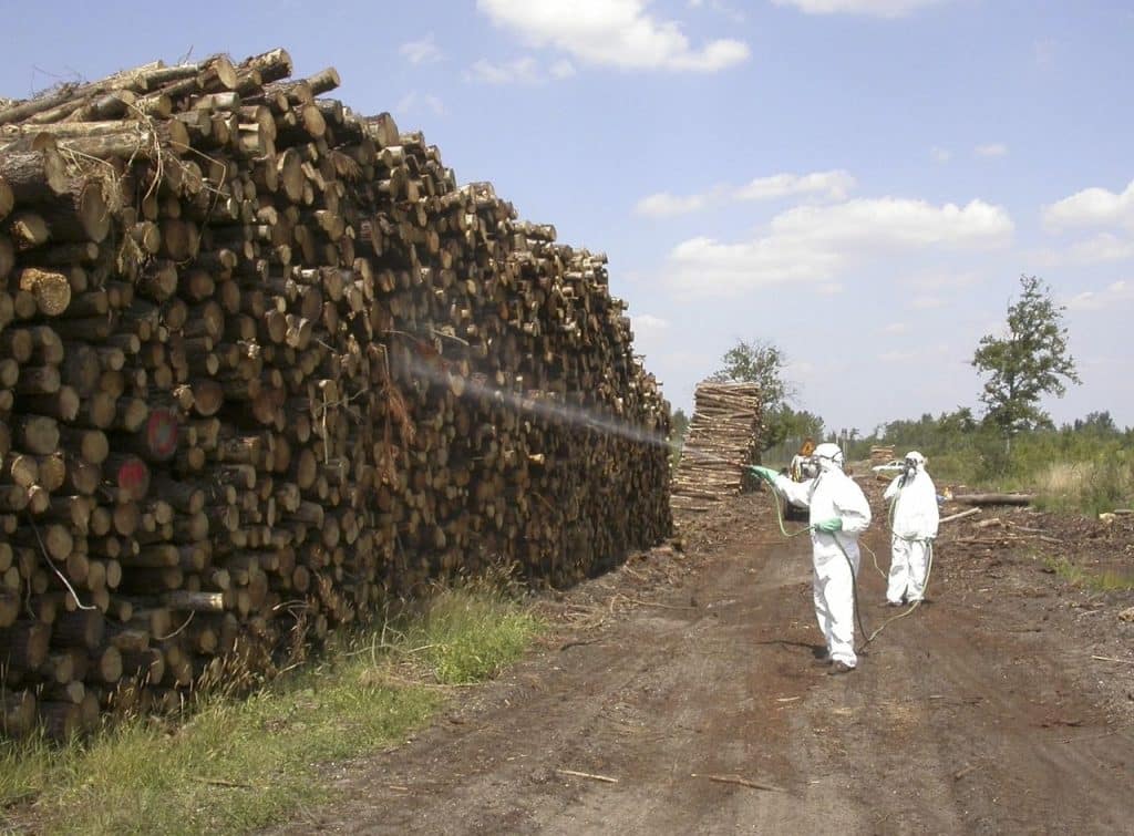 A man spraying pesticide on pine logs, Pest Control Advertising Agency.