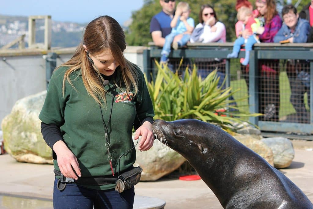 A zoo keeper training sea lion with spectators behind, Zoo & Aquarium Advertising Agency.