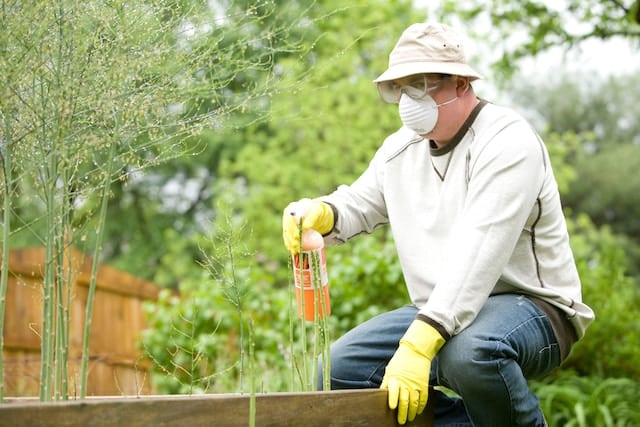 A man spraing pesticide, Pest Control Advertising Agency.