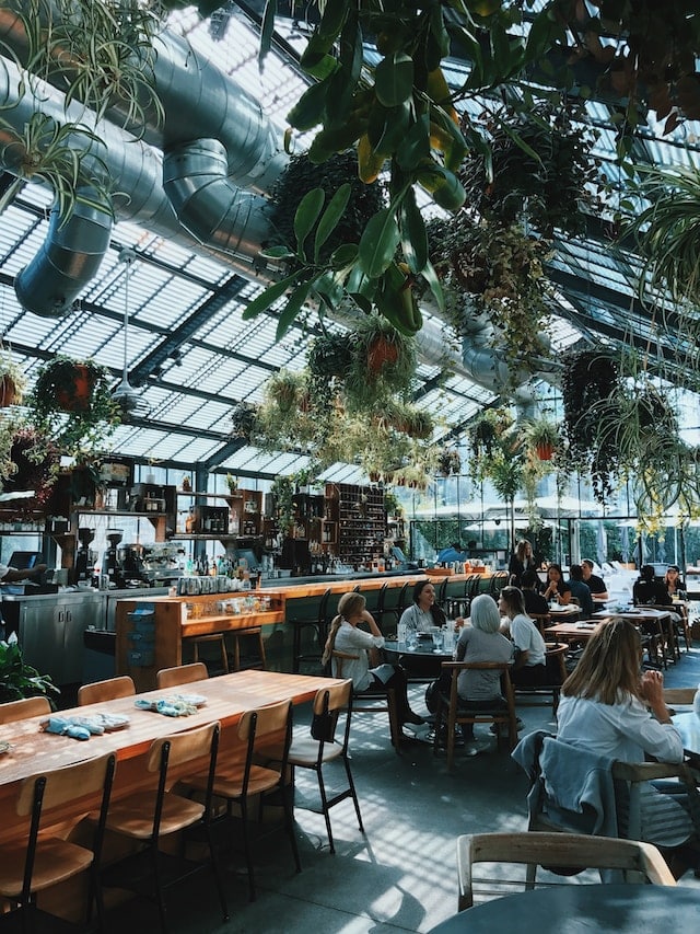 People sitting on chairs in a restaurant with a natural environment, Restaurant Advertising Agency.