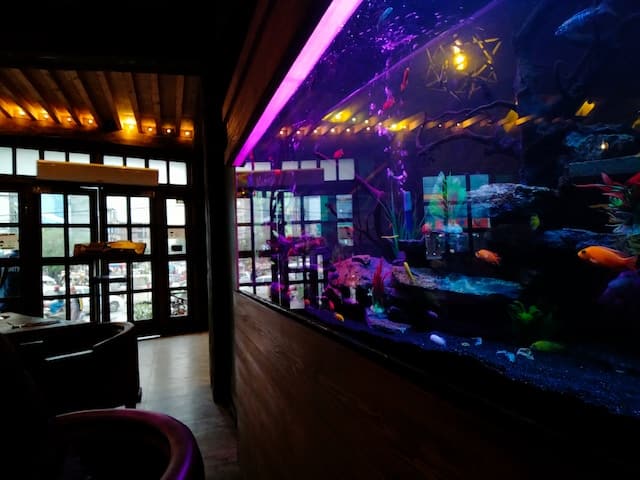 An acquarium inside a restaurant, Zoo & Aquarium Advertising Agency.