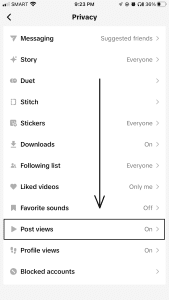 Select the post view option from the privacy settings icon