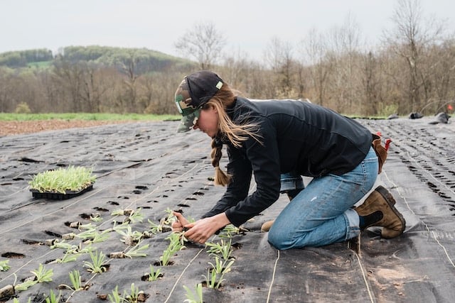 A woman planting the saplings, Tree Service Advertising Agency.